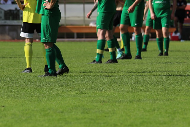 不论卡姆 不论卡姆