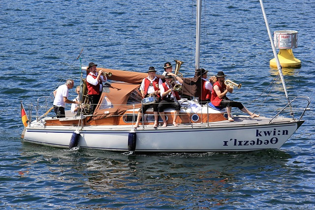 表现充满期 表现充满期