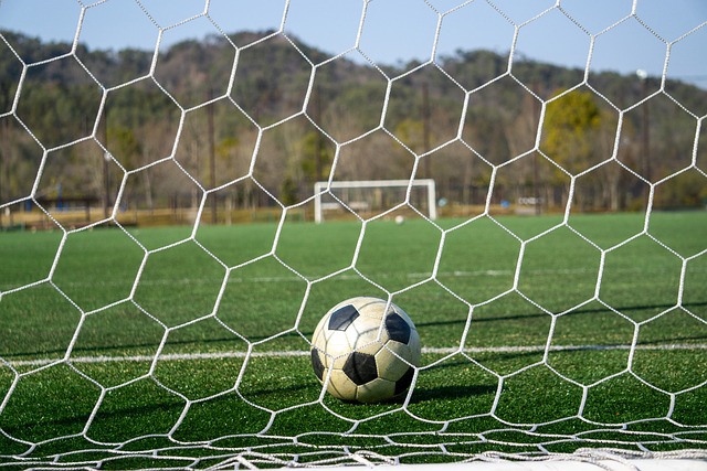 门的独角戏 门的独角戏