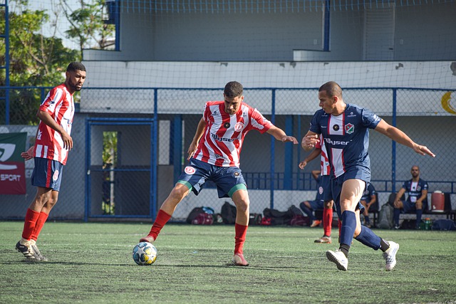 探討奧斯梅 探討奧斯梅