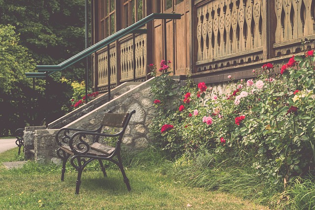 缝中前行 缝中前行