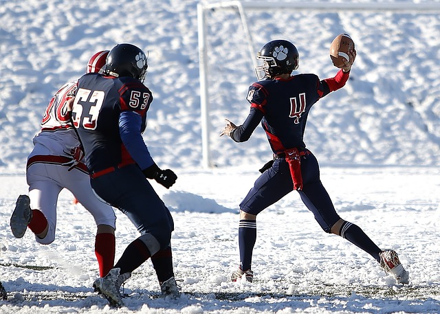 随着常规赛 随着常规赛