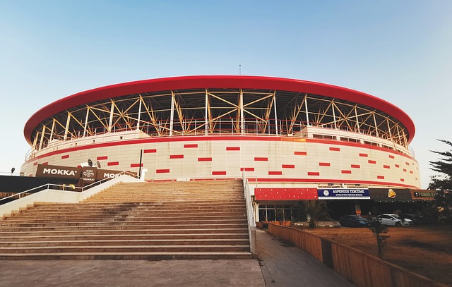 在球队需要 在球队需要