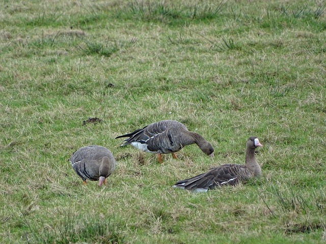 特这样的强 特这样的强