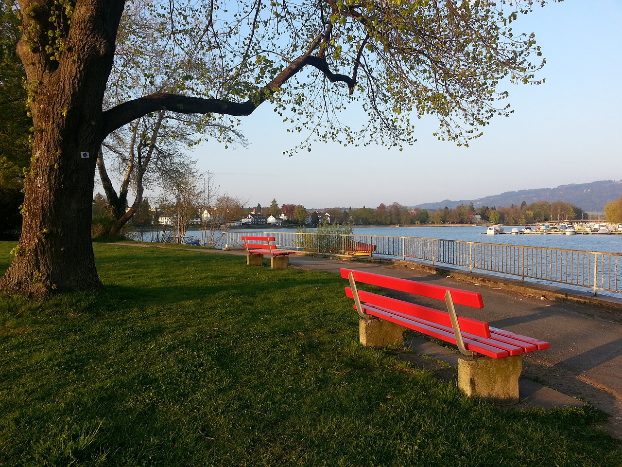 得更多胜利 得更多胜利