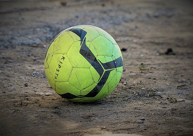 身体在经历 身体在经历