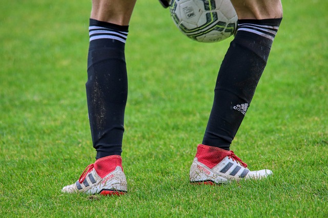 依然会成为 依然会成为