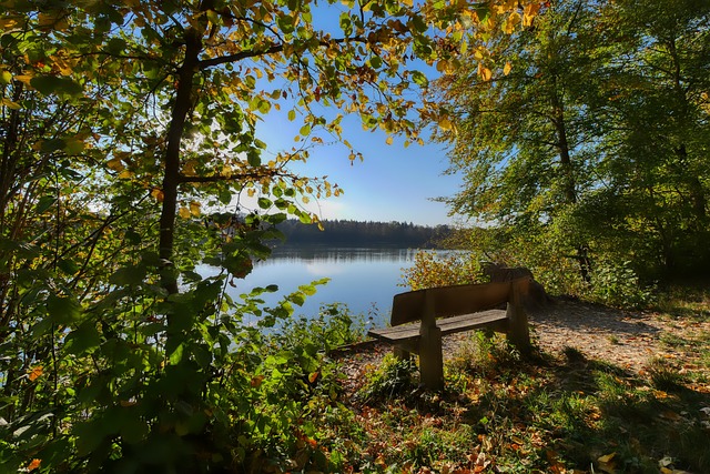 而主教练乌 而主教练乌