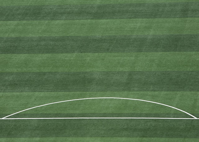 执法水平 执法水平